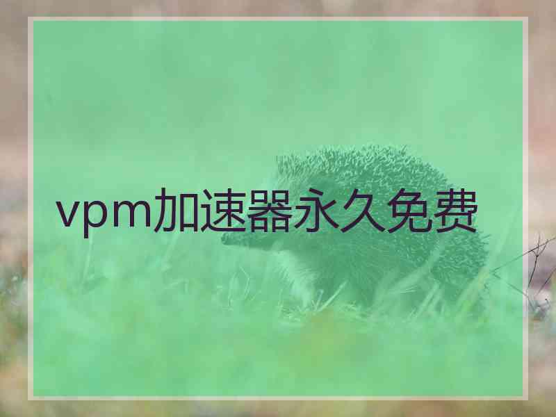 vpm加速器永久免费