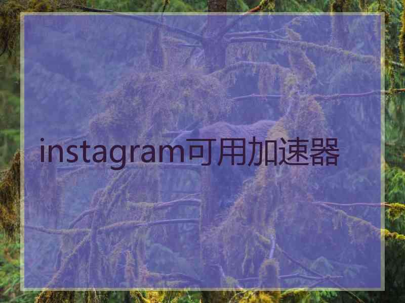 instagram可用加速器