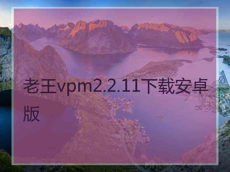 老王vpm2.2.11下载安卓版