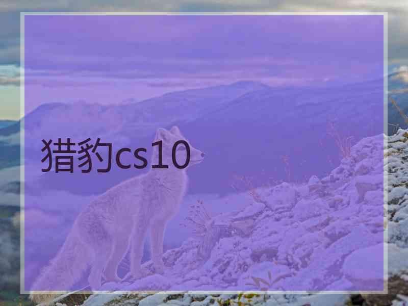 猎豹cs10