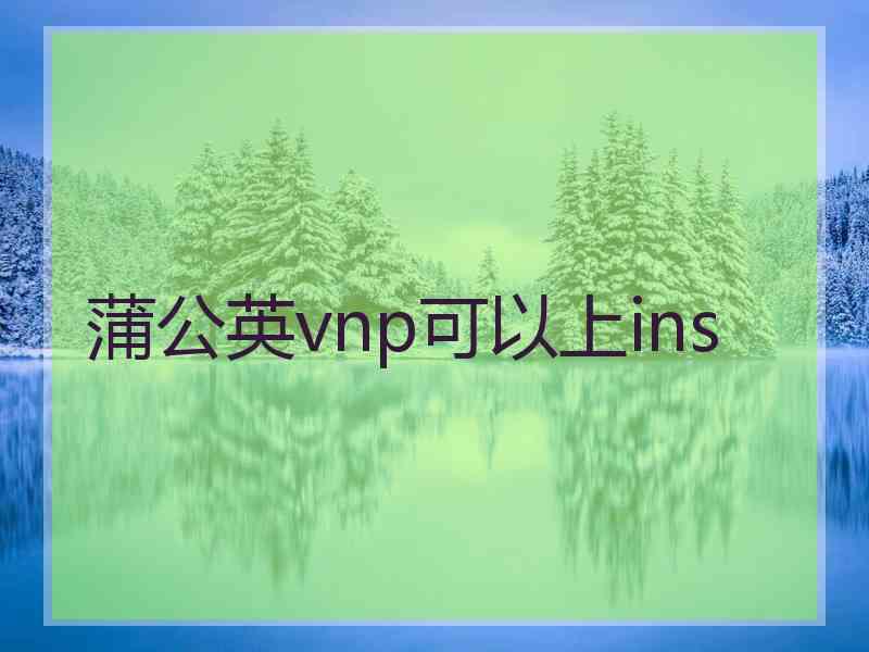 蒲公英vnp可以上ins