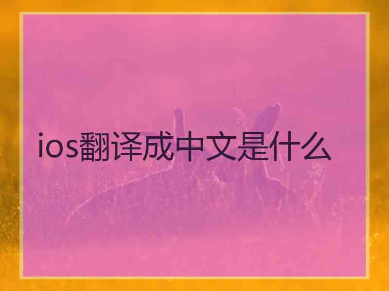 ios翻译成中文是什么