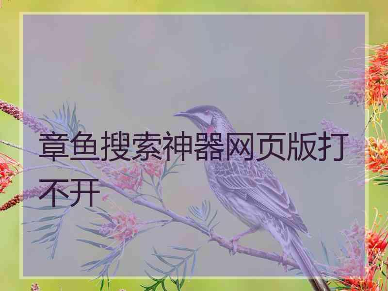 章鱼搜索神器网页版打不开