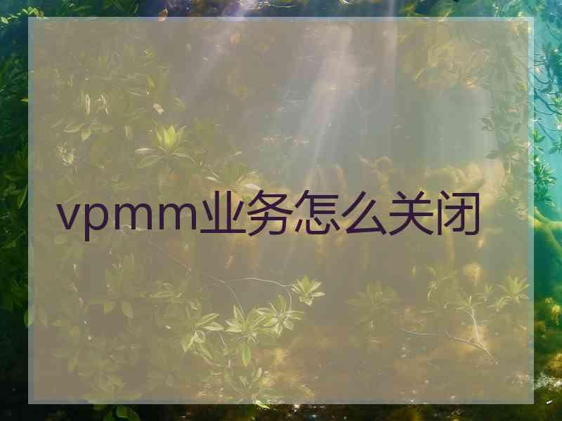 vpmm业务怎么关闭