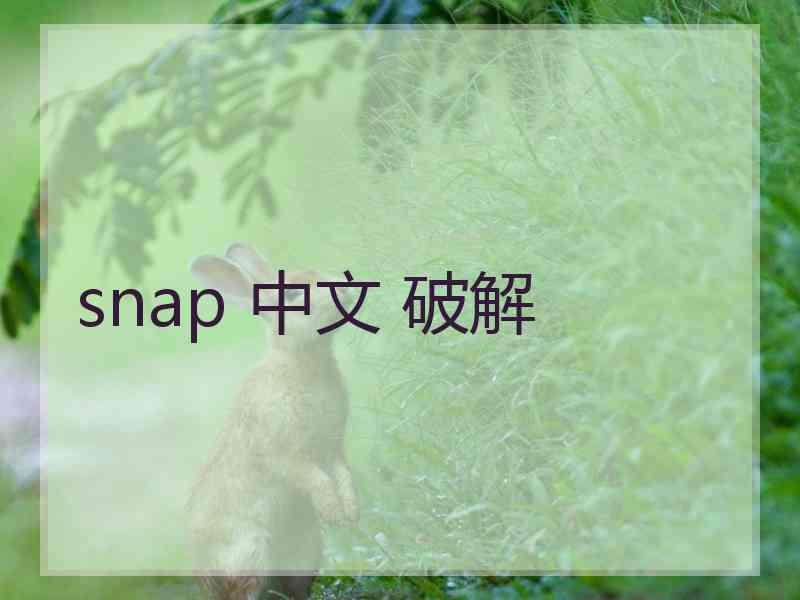 snap 中文 破解