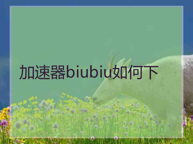 加速器biubiu如何下