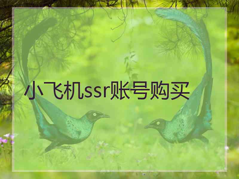 小飞机ssr账号购买