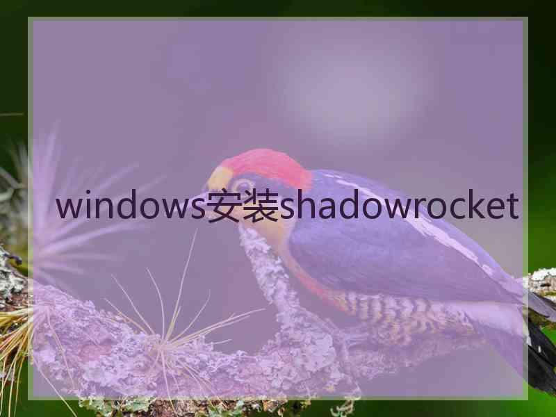 windows安装shadowrocket