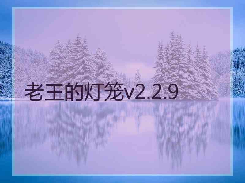 老王的灯笼v2.2.9