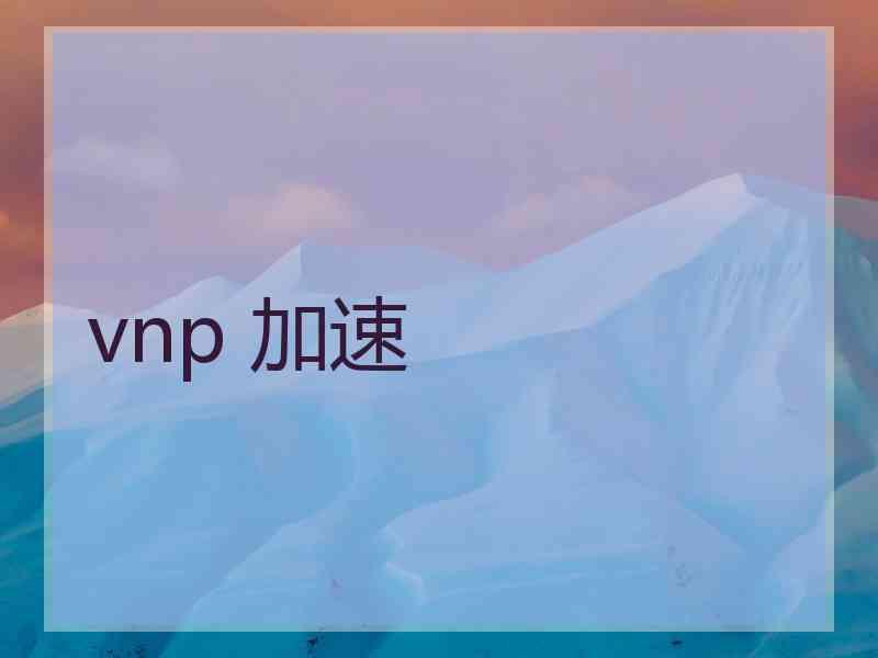 vnp 加速