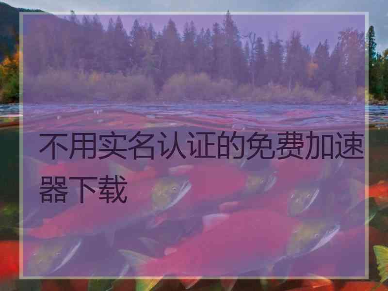 不用实名认证的免费加速器下载