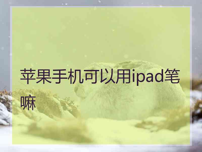 苹果手机可以用ipad笔嘛