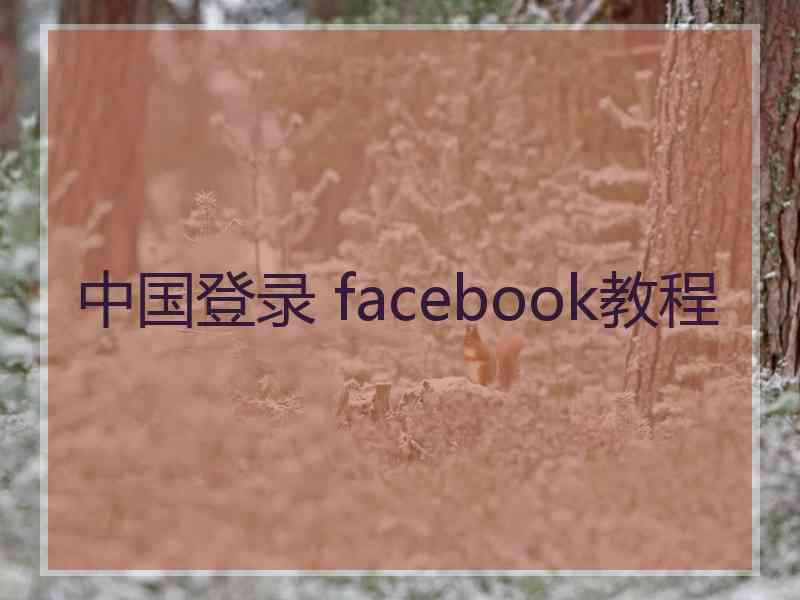 中国登录 facebook教程