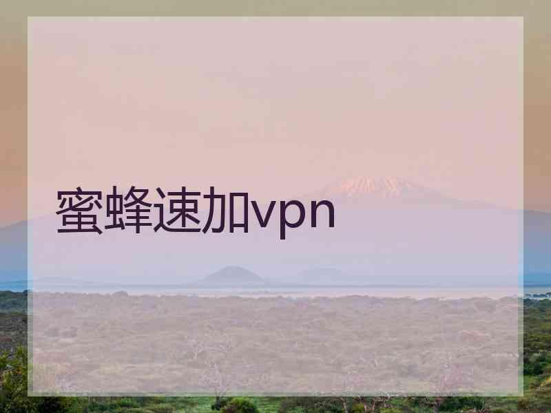 蜜蜂速加vpn