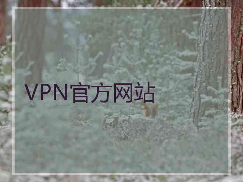 VPN官方网站