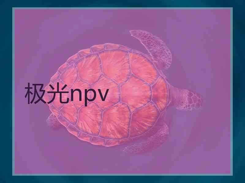 极光npv