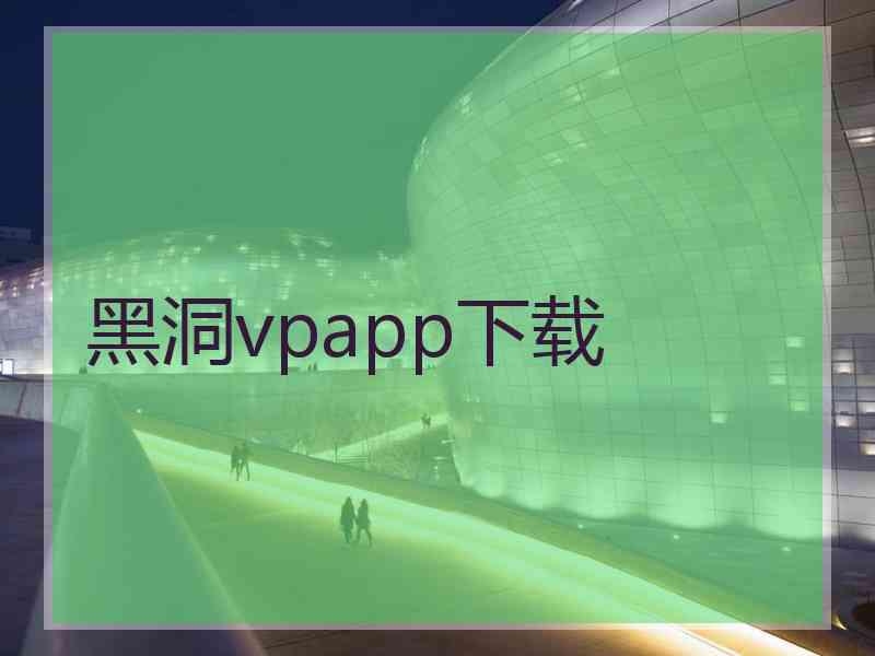 黑洞vpapp下载