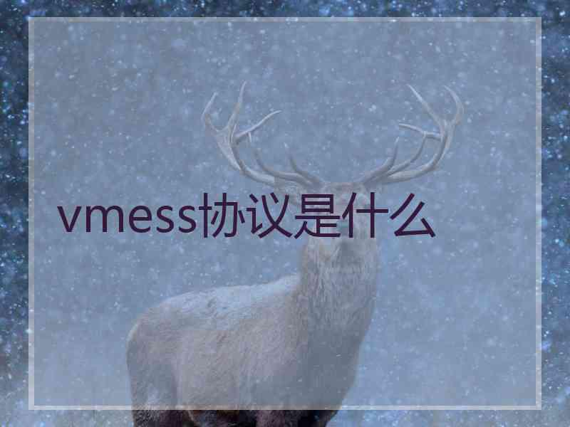 vmess协议是什么