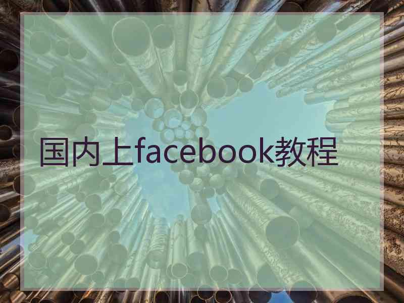 国内上facebook教程