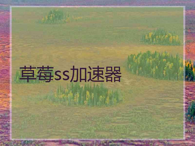 草莓ss加速器