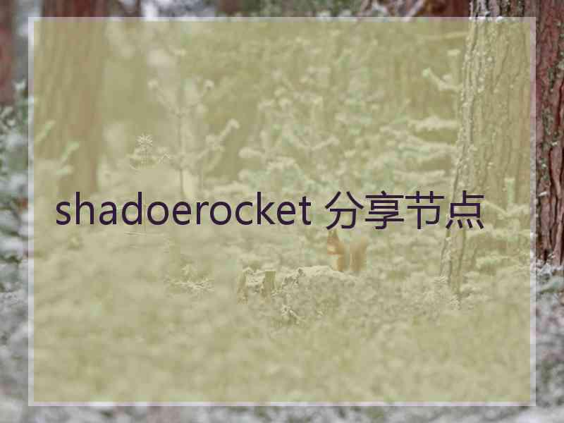 shadoerocket 分享节点