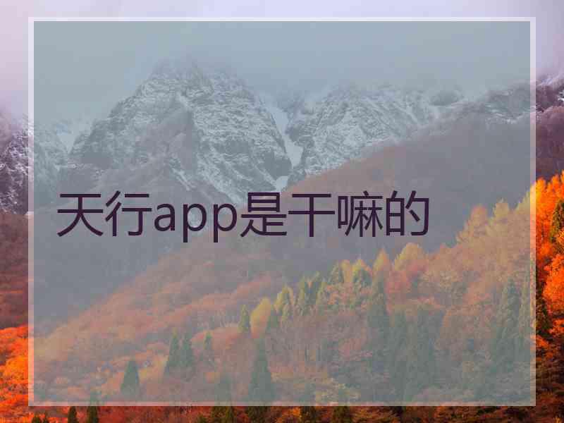 天行app是干嘛的