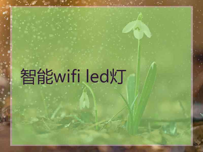 智能wifi led灯