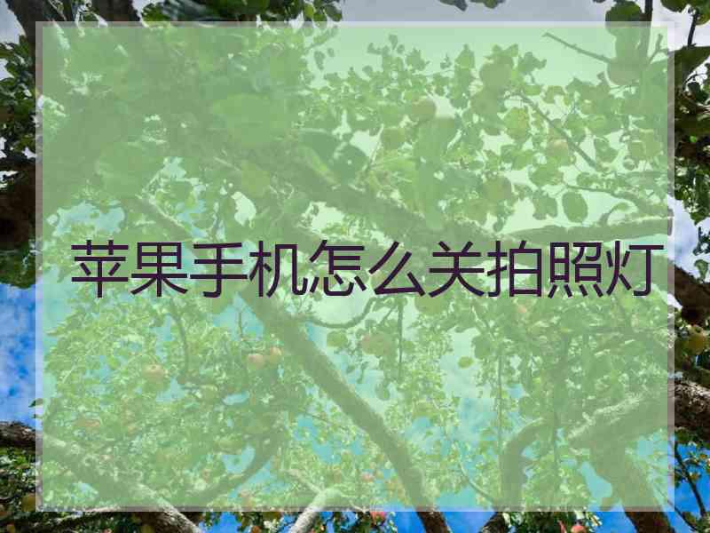 苹果手机怎么关拍照灯