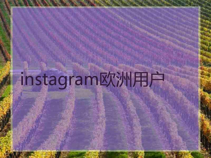 instagram欧洲用户