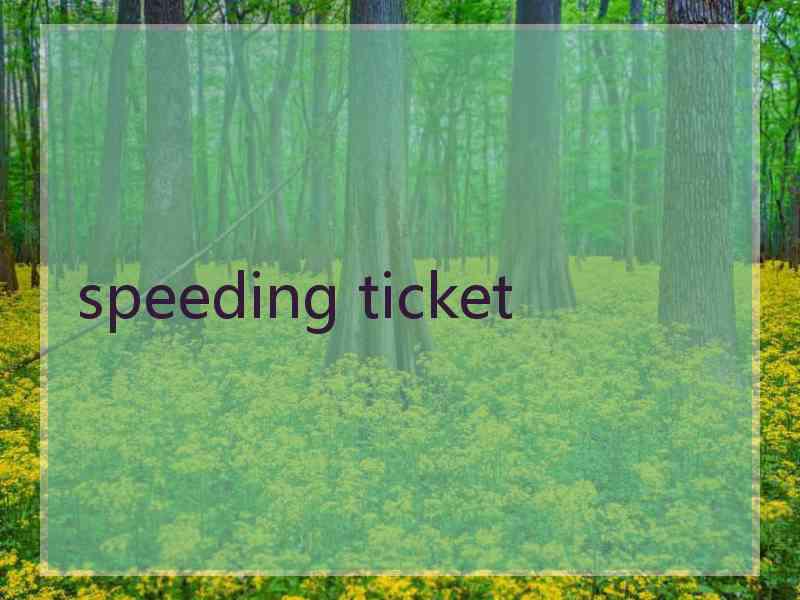 speeding ticket