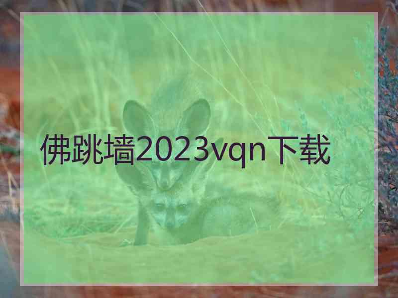 佛跳墙2023vqn下载