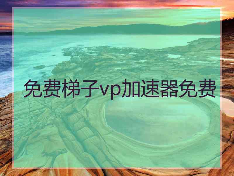 免费梯子vp加速器免费