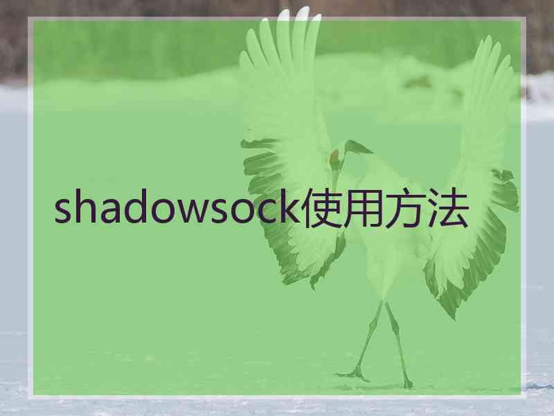 shadowsock使用方法