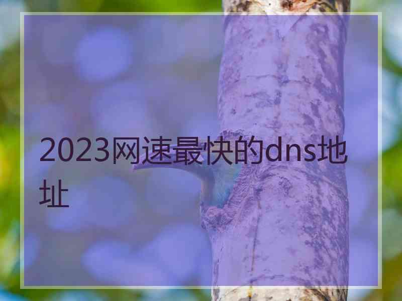 2023网速最快的dns地址