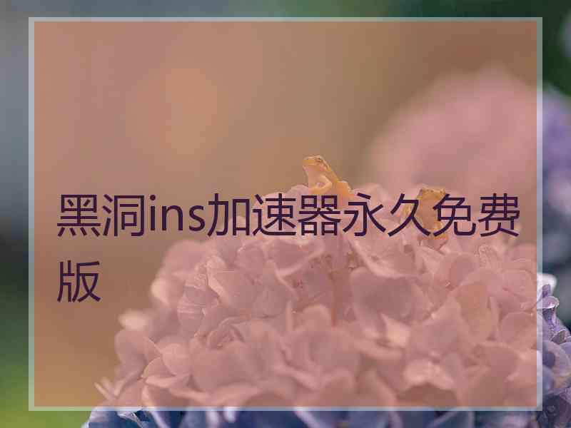 黑洞ins加速器永久免费版