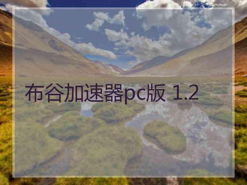 布谷加速器pc版 1.2