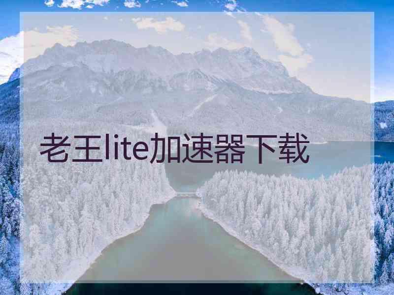 老王lite加速器下载