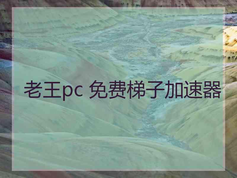 老王pc 免费梯子加速器