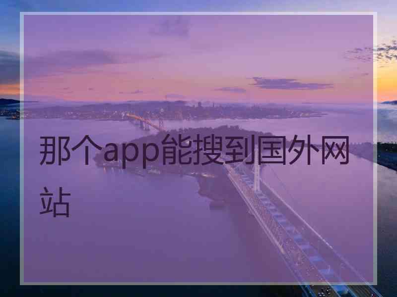 那个app能搜到国外网站