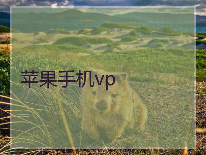 苹果手机vp