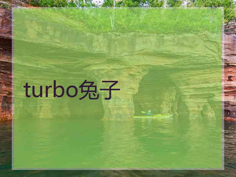 turbo兔子