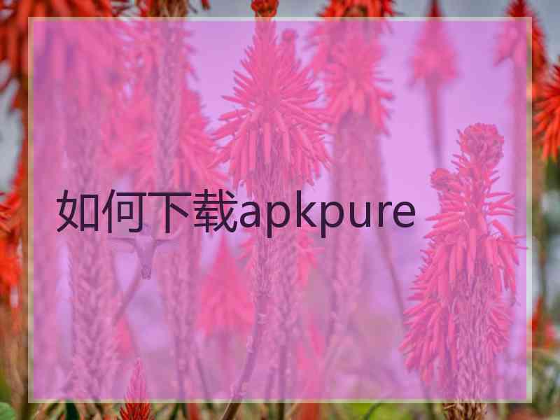 如何下载apkpure