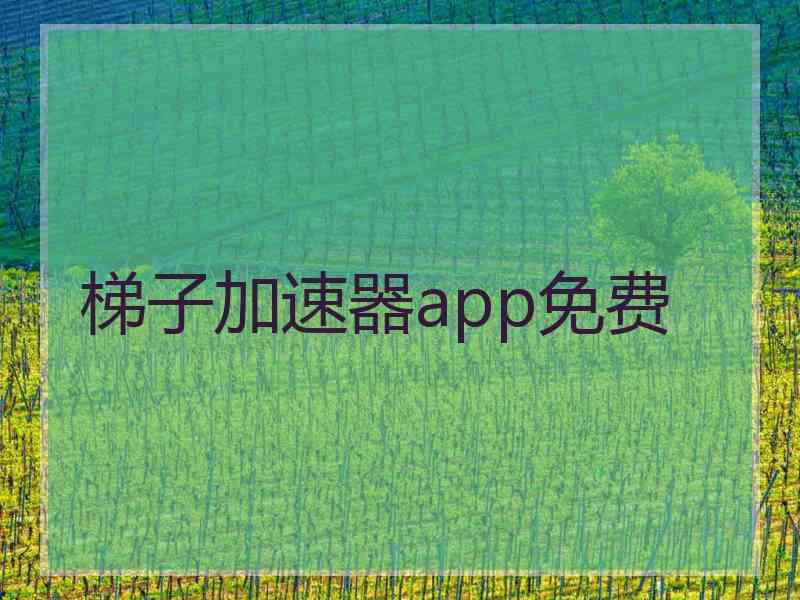 梯子加速器app免费