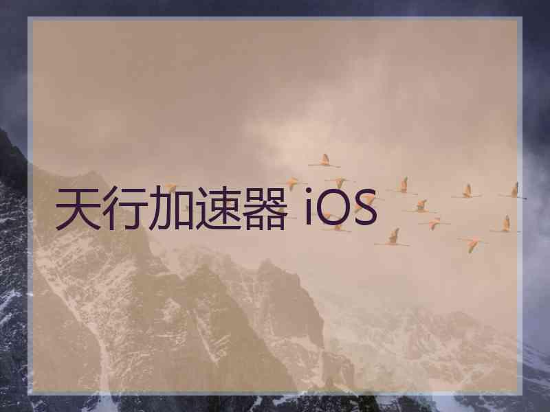 天行加速器 iOS