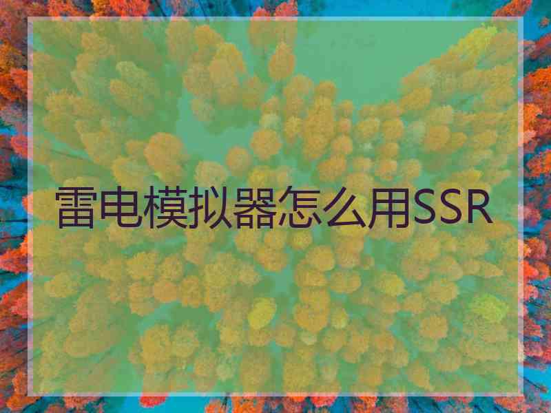 雷电模拟器怎么用SSR