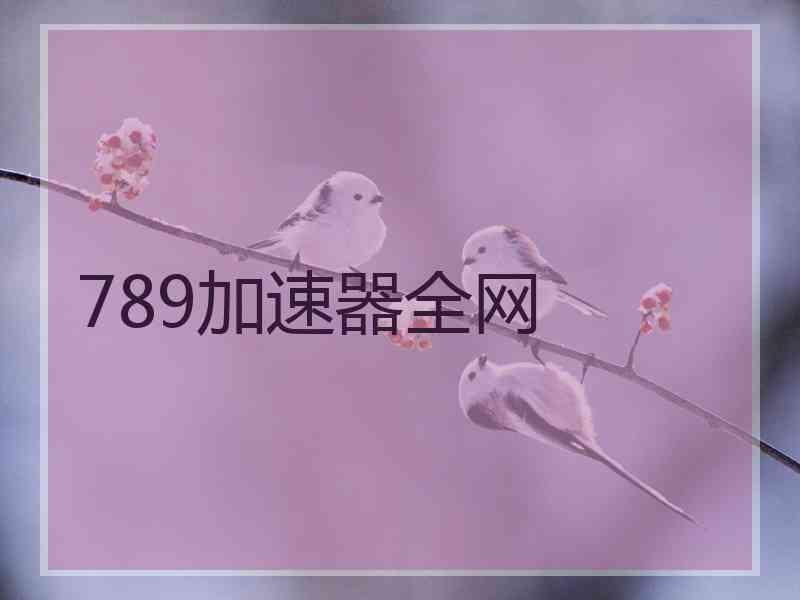 789加速器全网