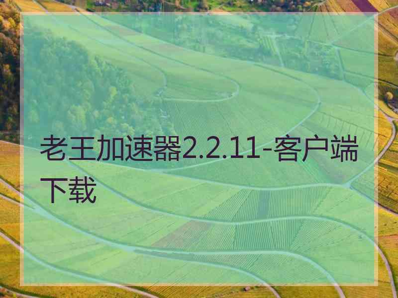 老王加速器2.2.11-客户端下载