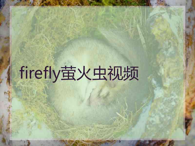 firefly萤火虫视频