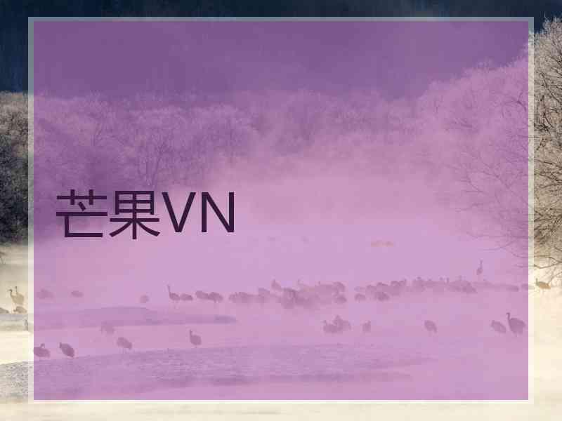 芒果VN