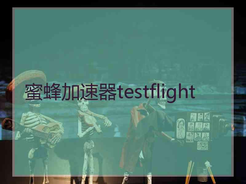 蜜蜂加速器testflight